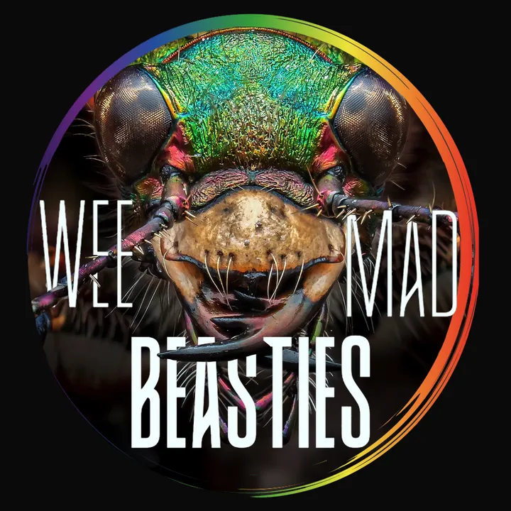 weemadbeasties