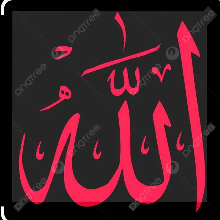 lsalam50