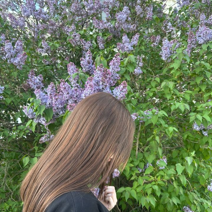 вв - original sound