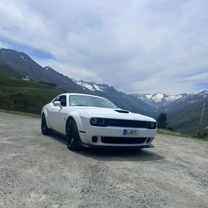 falconero81