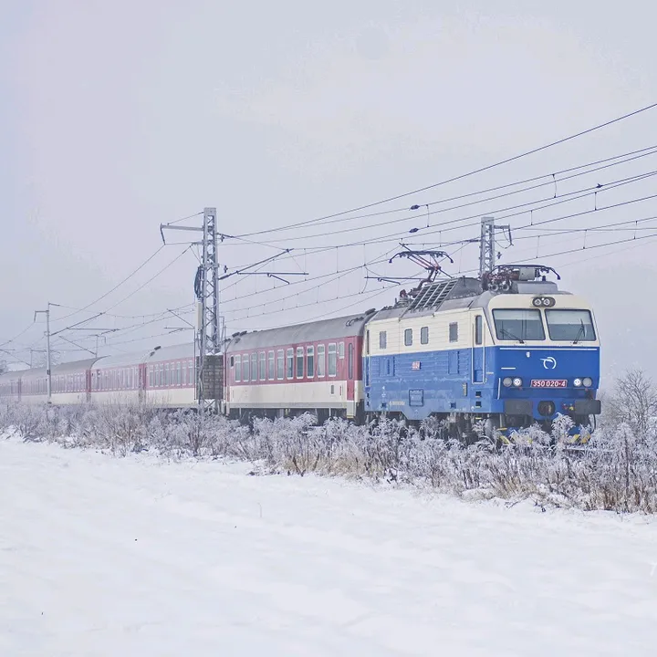 romannovak24