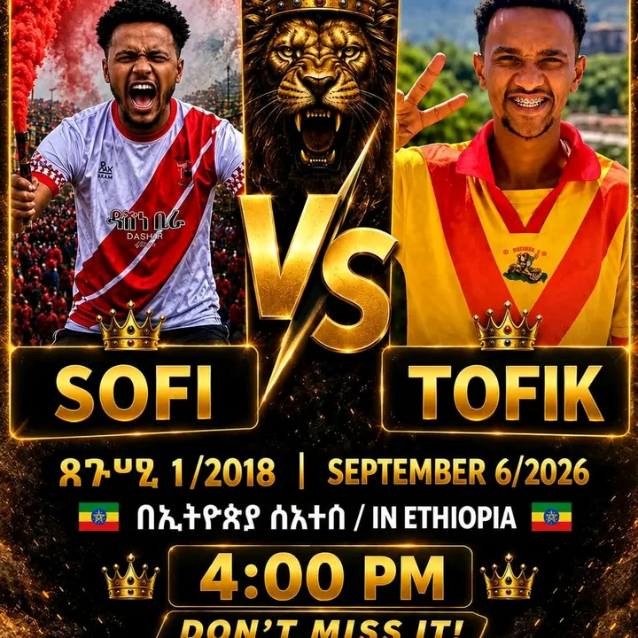 @tofikviva
