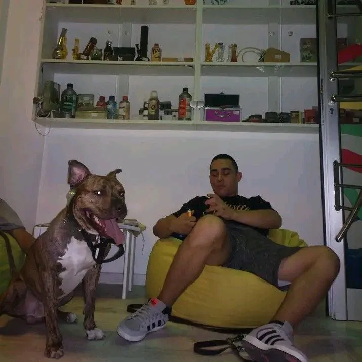 teskacapri