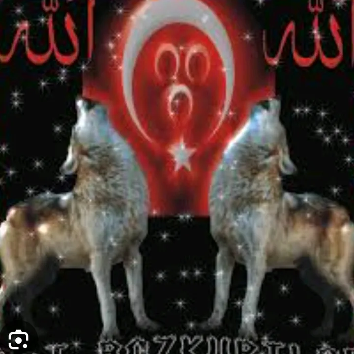 @mert43430