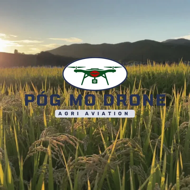 pog_mo_drone