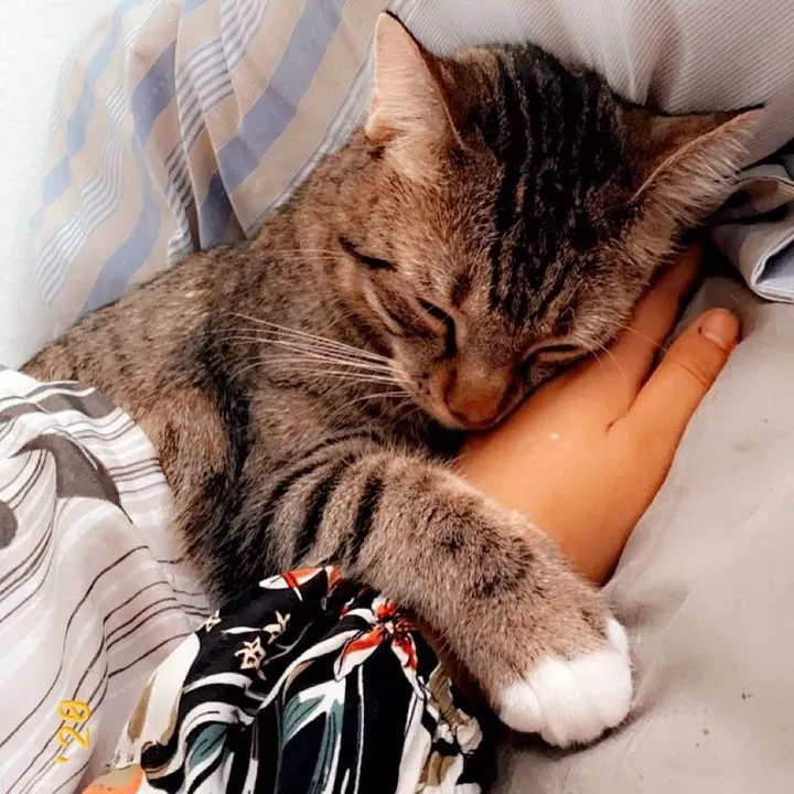 @mubazra_s