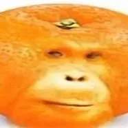 damo_vrfsvr