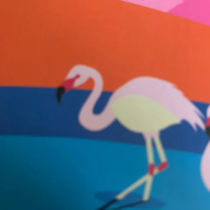 @flamingocoffee1
