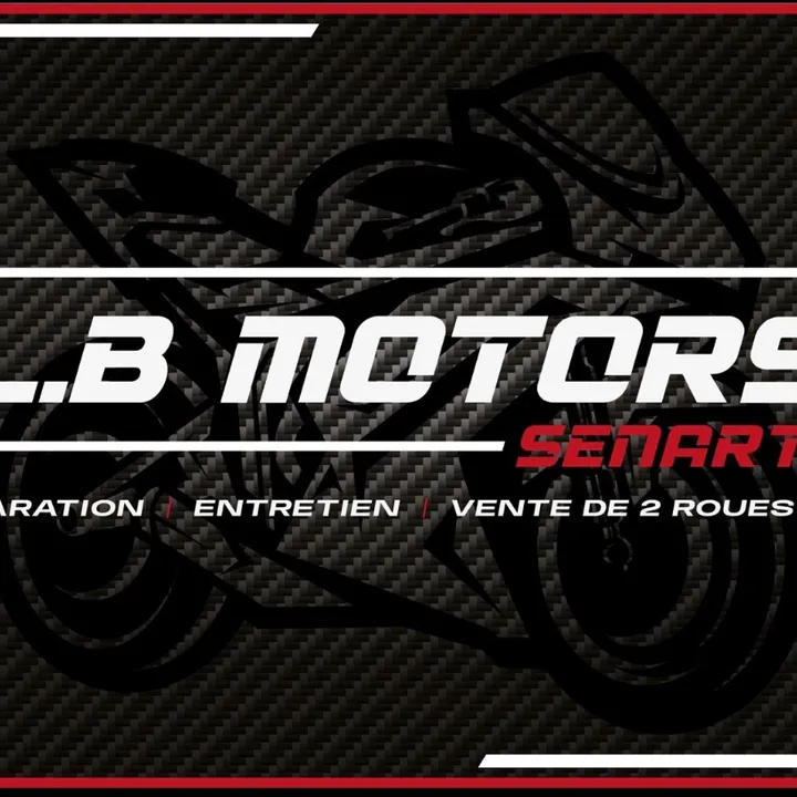 lbmotorssenart