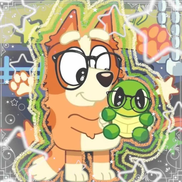 sota.puppy