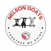 nelsonprimaryschool