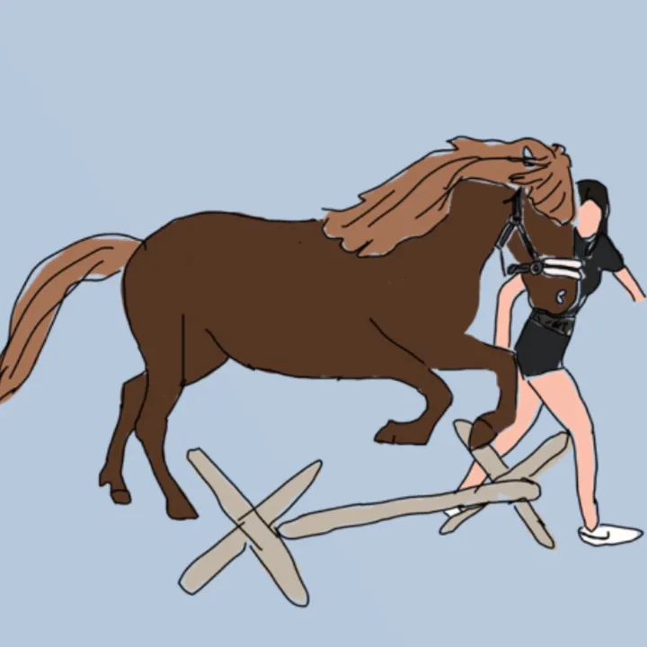 @4horseriding