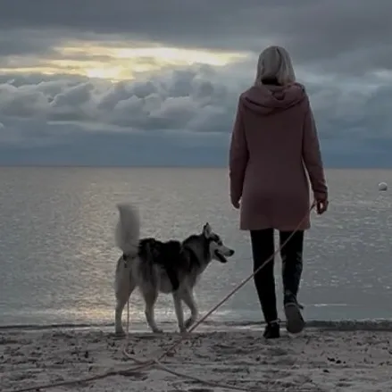 manda_with_dogs