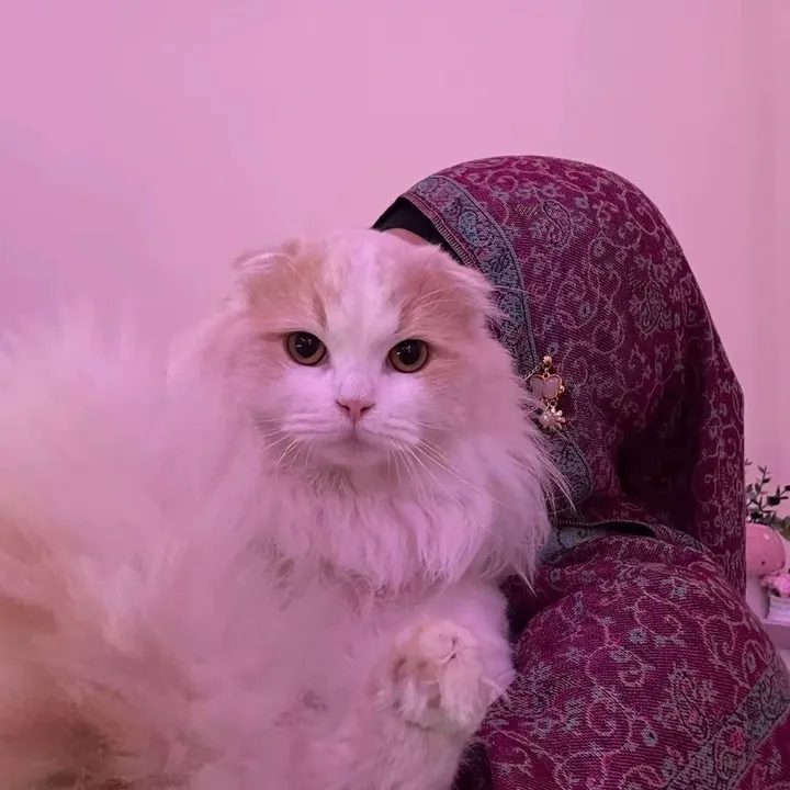 @nls_sn92