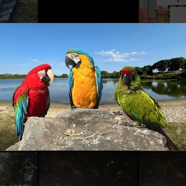 desireepoemkepinomarie