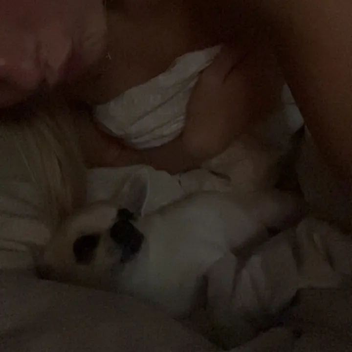 @emiliaheldemar153