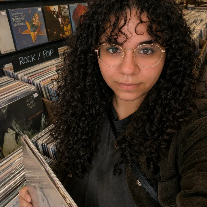 myvinylverse