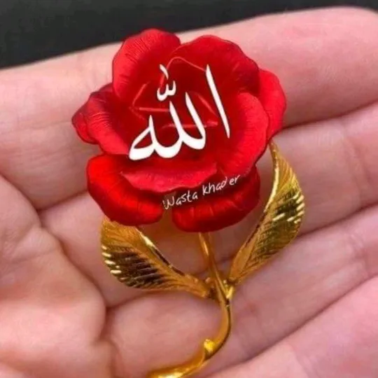 shomibegum13