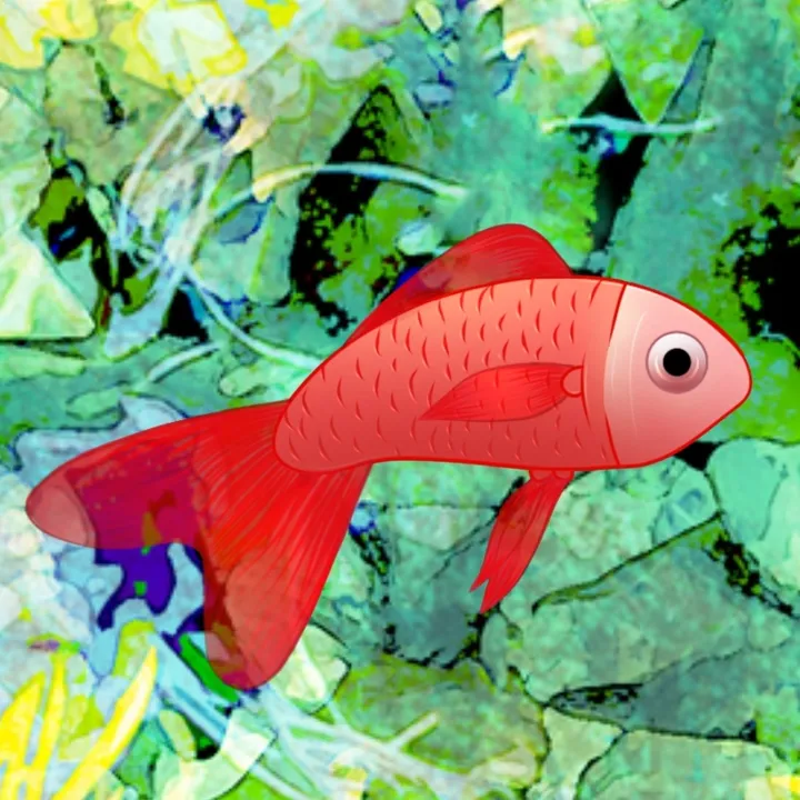 sunnyfishie