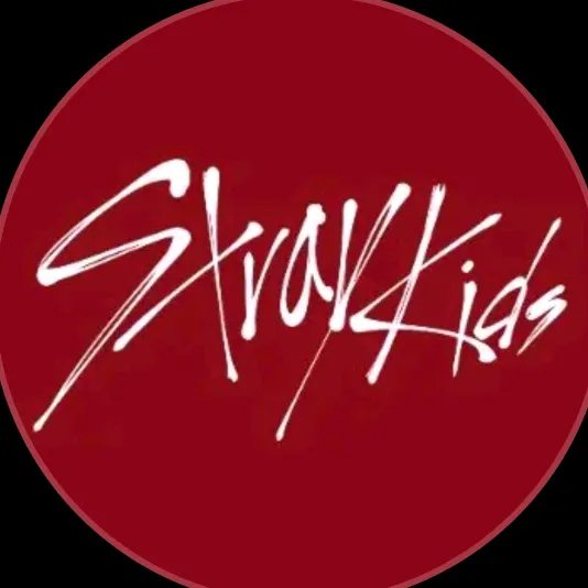 @straykids.girl8
