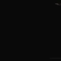 ..0000000000003
