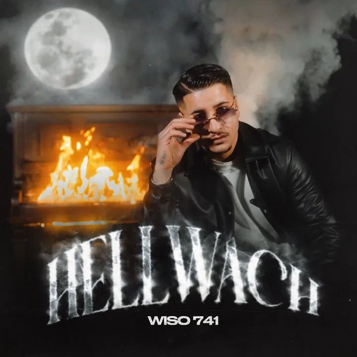 wiso741