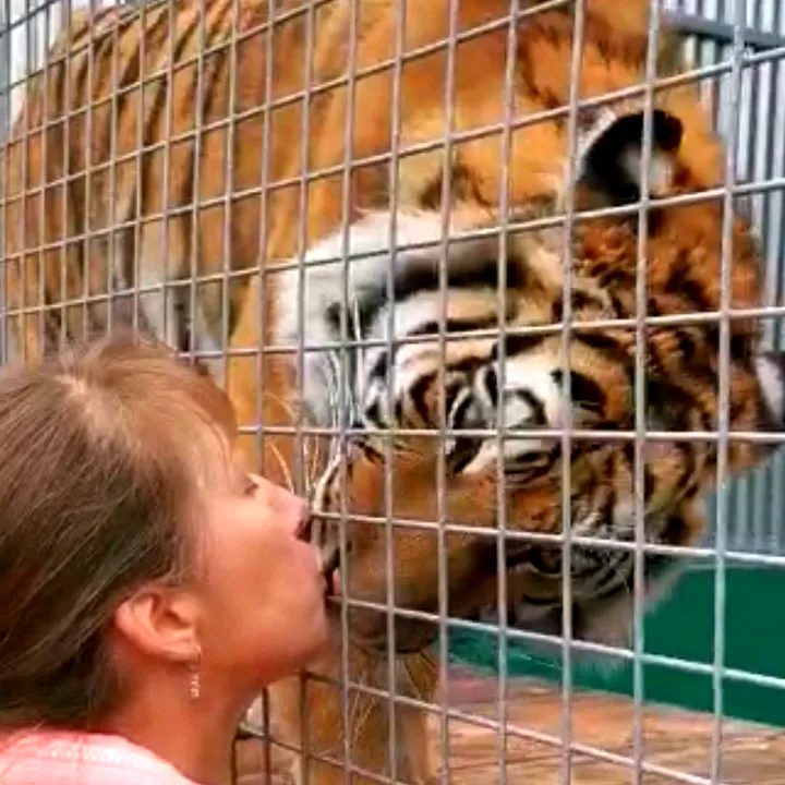 heart_4_animals