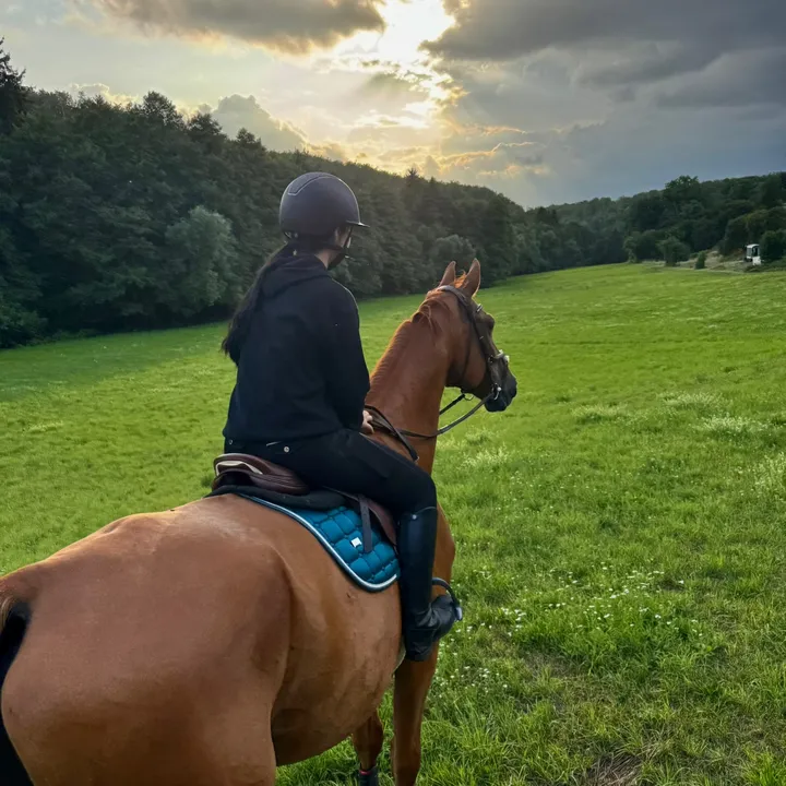 annalisa.equestrian