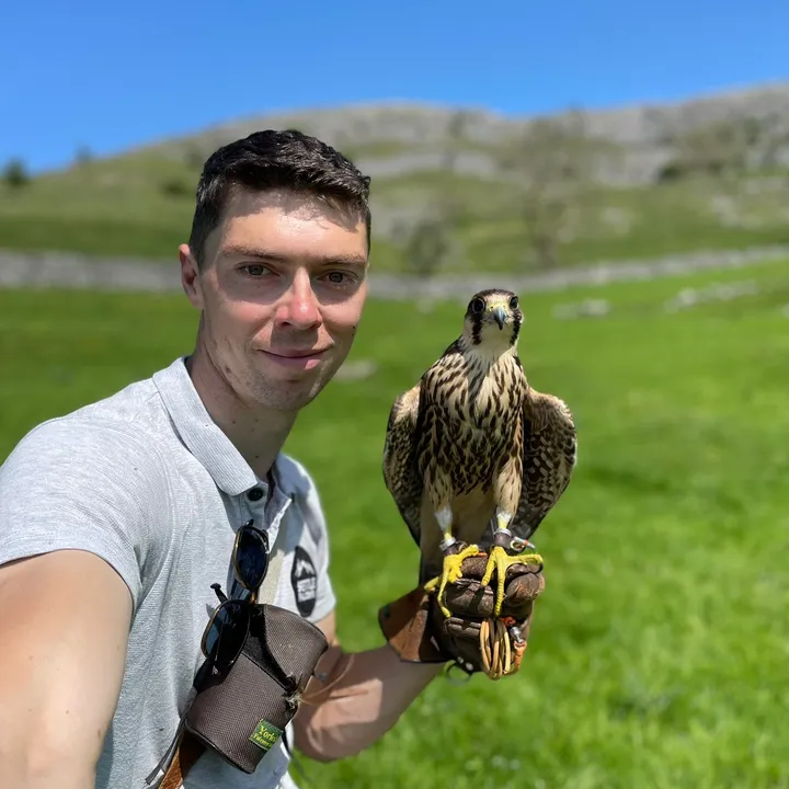 kierenb20falcon