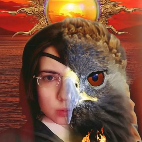 hansofi_cos