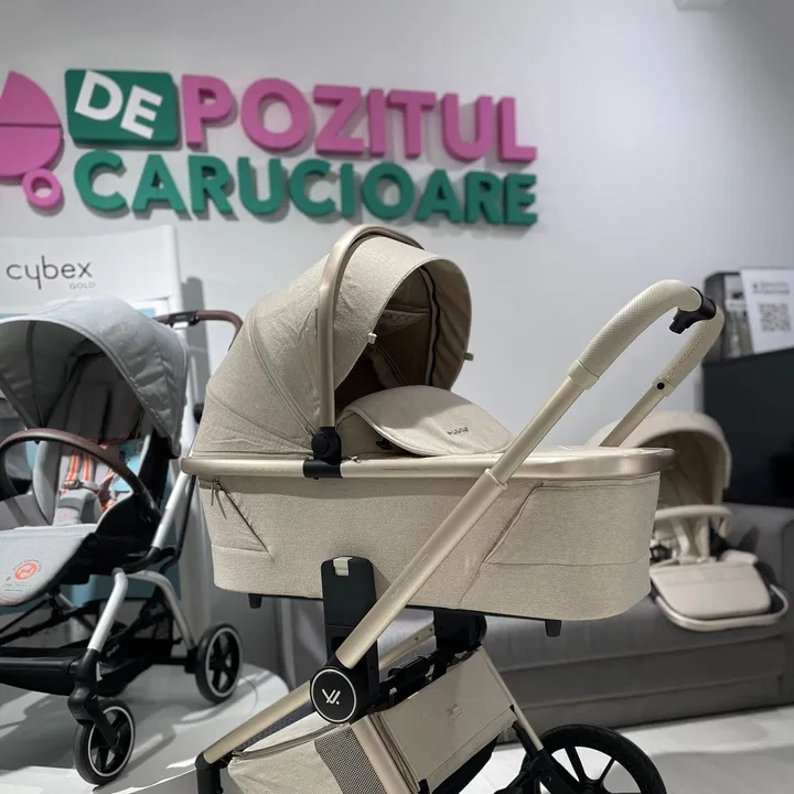 depozituldecarucioare1