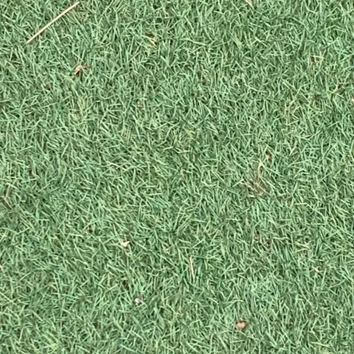 grass.is.green