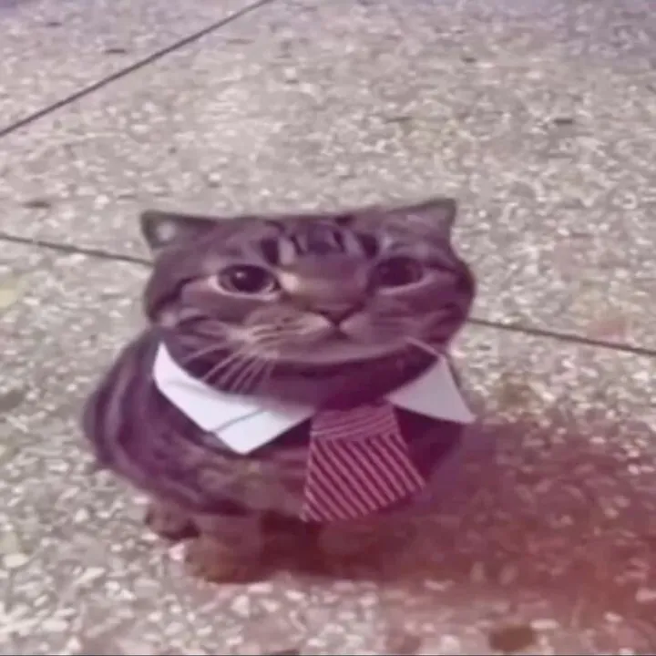 kurmovv