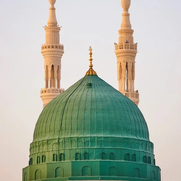 @irfanjav5