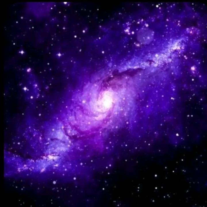 live_is_a_vivid_dream
