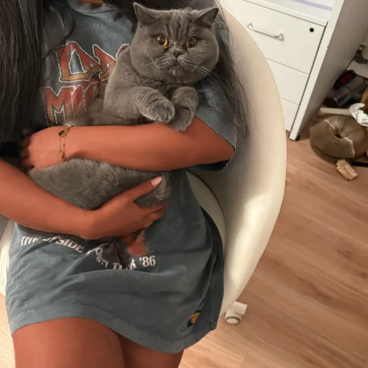 @m.ky03