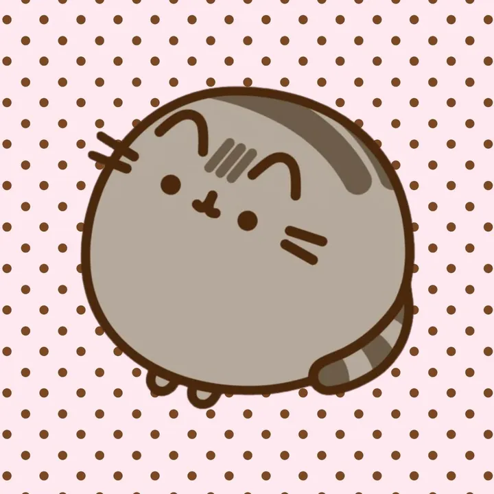 pusheen..wiii