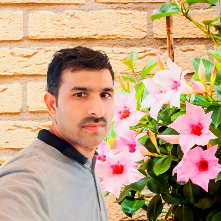 ladlamunda247