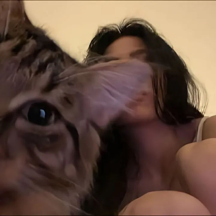 @azamtvs