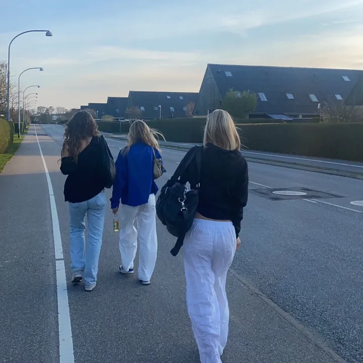 maiseschroeder