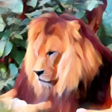 senftube7