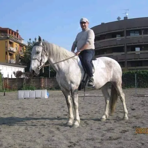 danielemalinverni