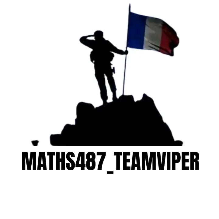 @maths487_teamviper