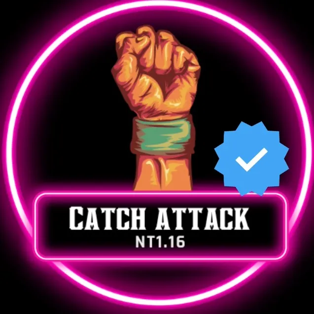 catch_attack_nt1.16
