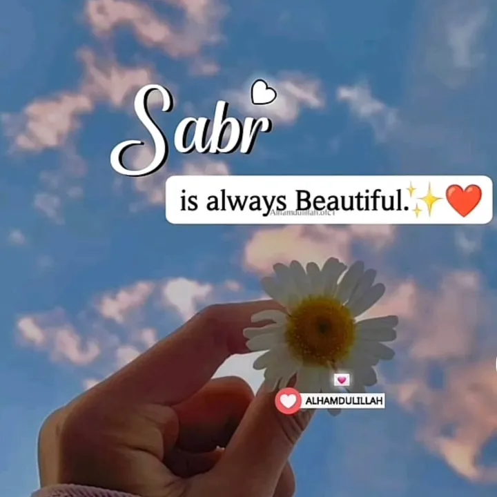 sadiii108