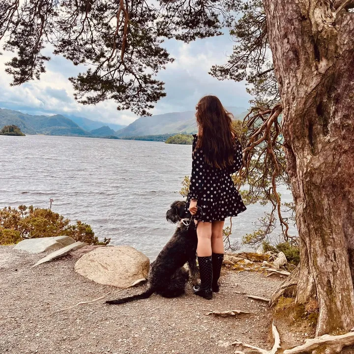 @jurgen_giantschnauzer