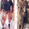 thvvofkim2_