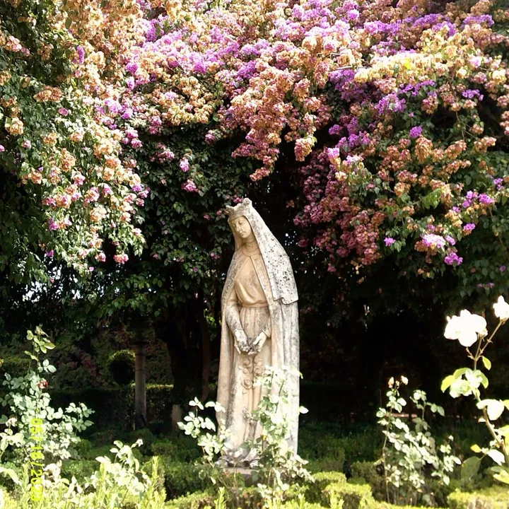 alma_catolica_
