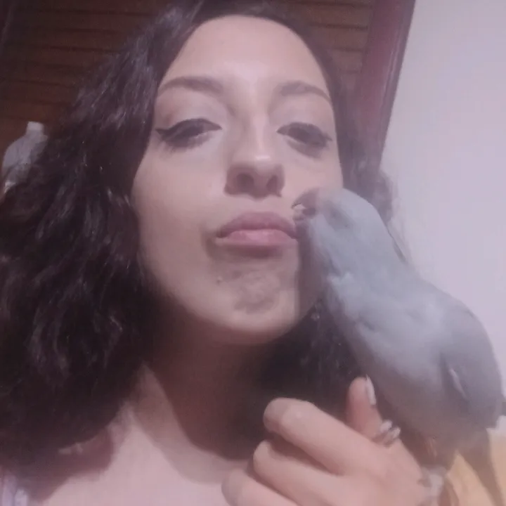 vane33__