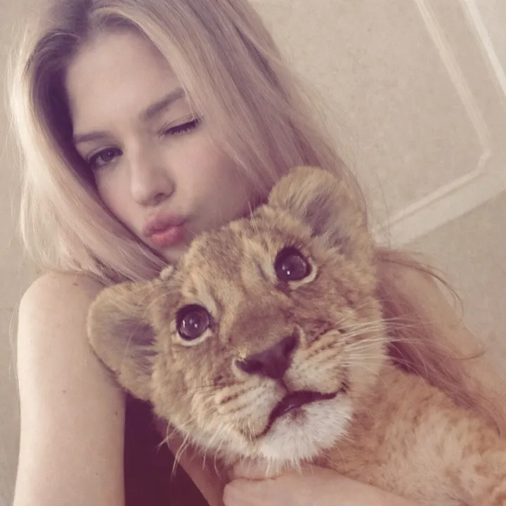 fleishau_